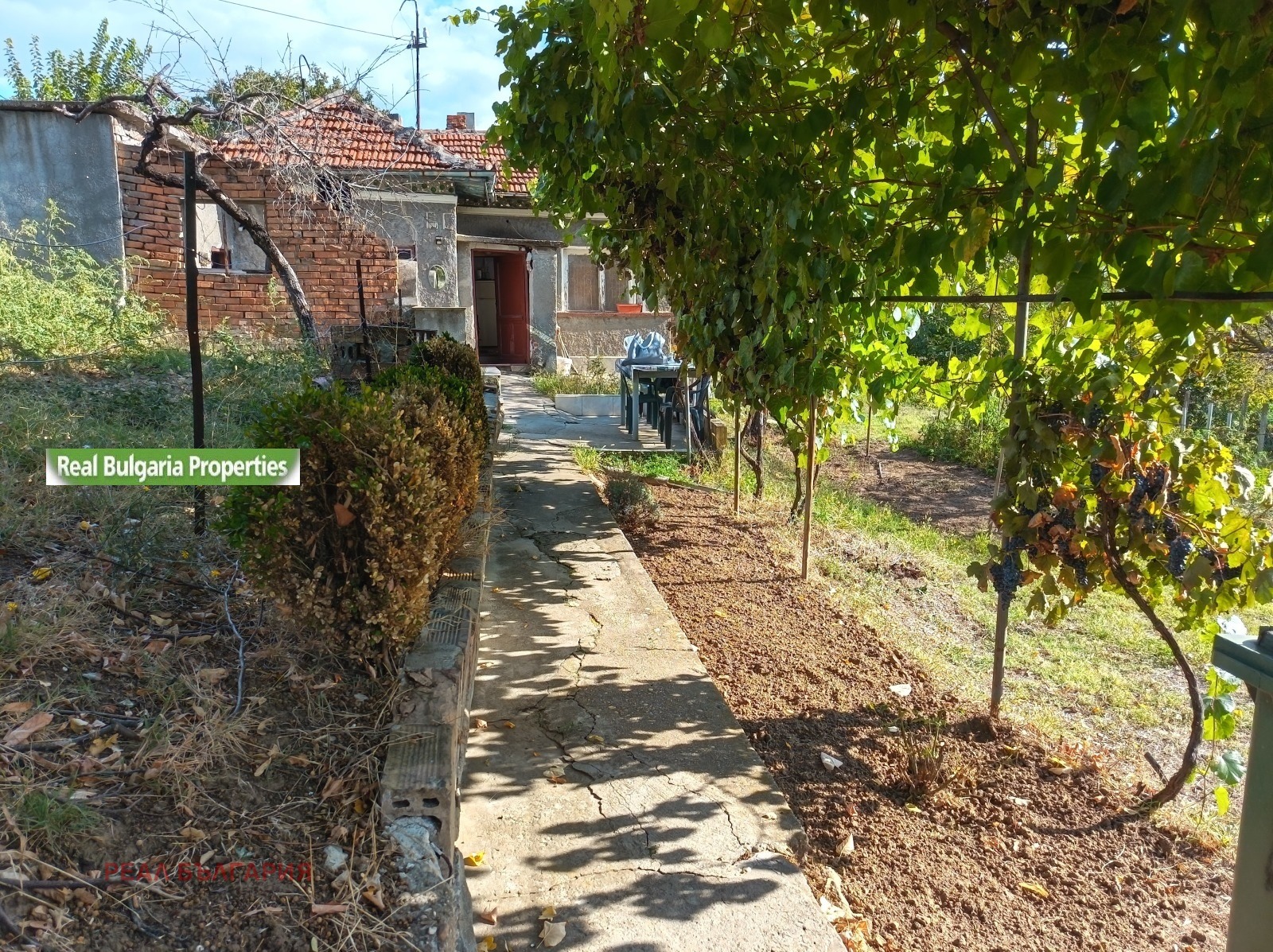 ������� ���� | Imot.bg � ����������� 3