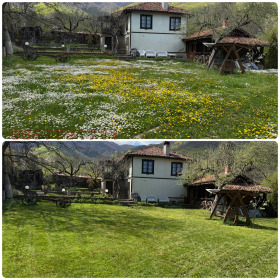 ����� ������� ����,�. ������, ������ �����