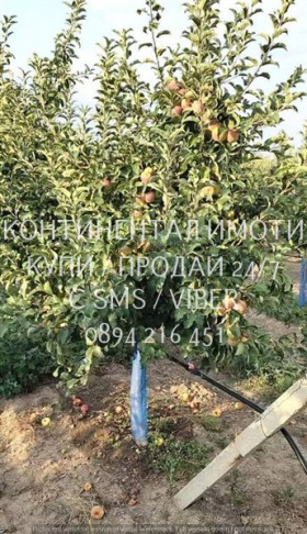 ������� ���������� ���� | Imot.bg � ����� ������ 3