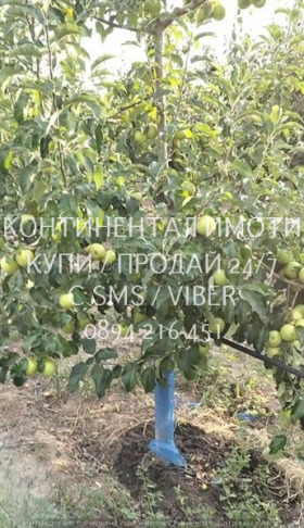 ������� ���������� ���� | Imot.bg � ����� ������ 2