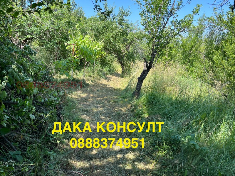 Продава КЪЩА, с. Жедна, област Перник, снимка 5 - Къщи - 52752888