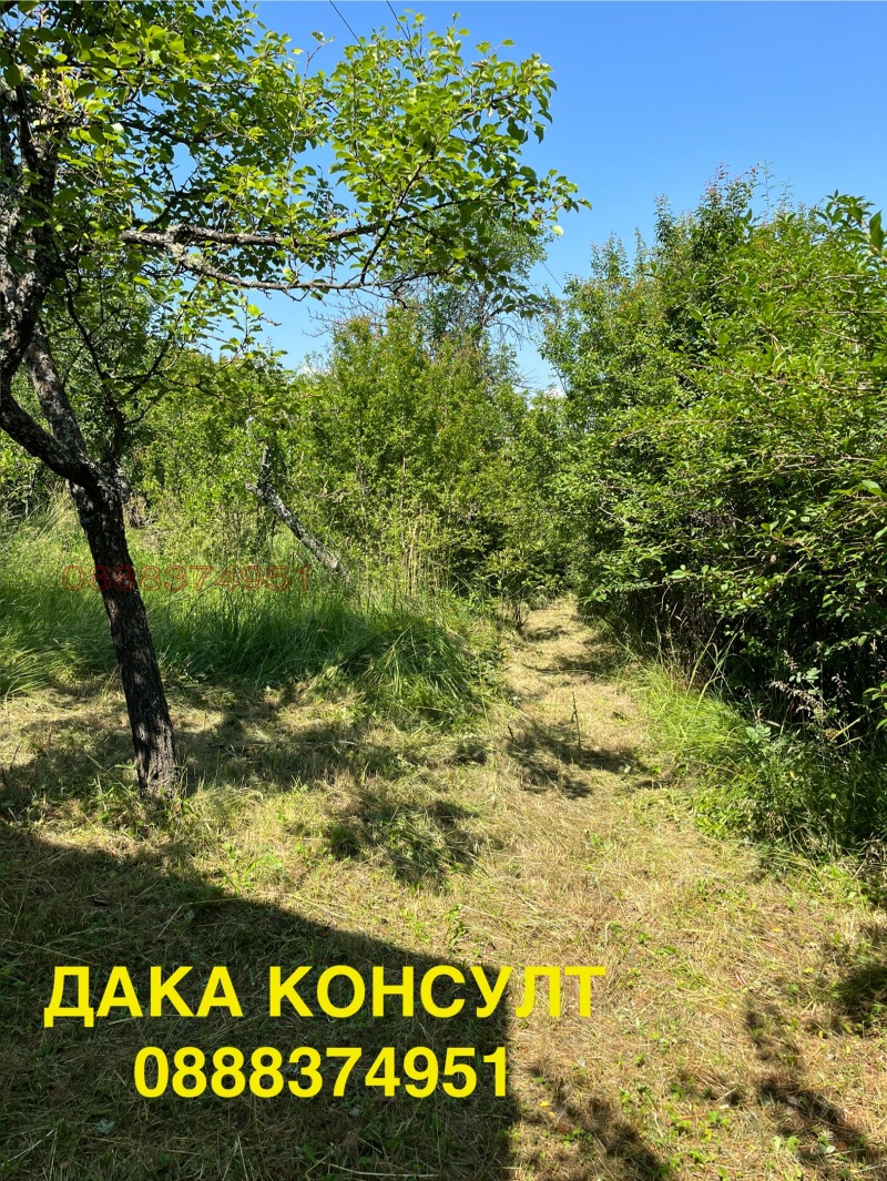 Продава КЪЩА, с. Жедна, област Перник, снимка 4 - Къщи - 52752888