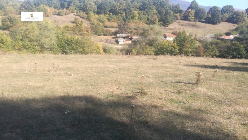 De vânzare  Complot Pernic , Țârcva , 2000 mp | 87723229 - imagine [2]