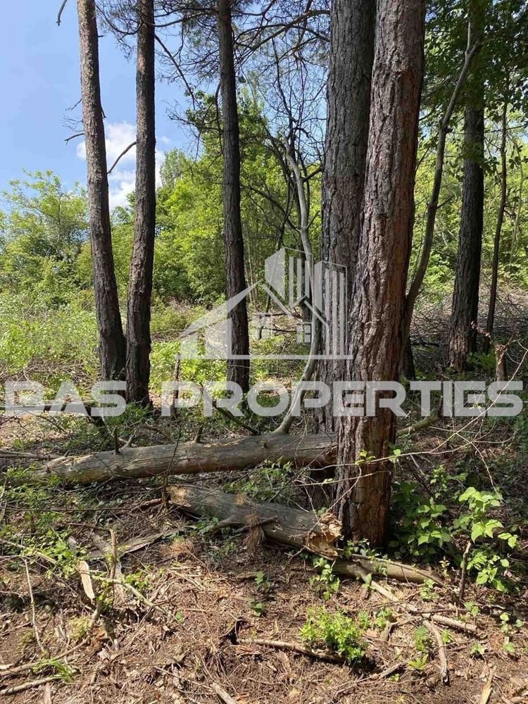 ������� ������ | Imot.bg � ����������� 4