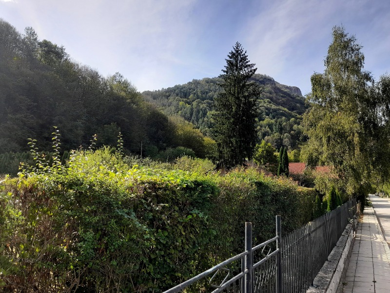 Προς πώληση  σπίτι περιοχή Lovech , Ρηβαρητσα , 70 τ.μ | 99291713 - εικόνα [3]