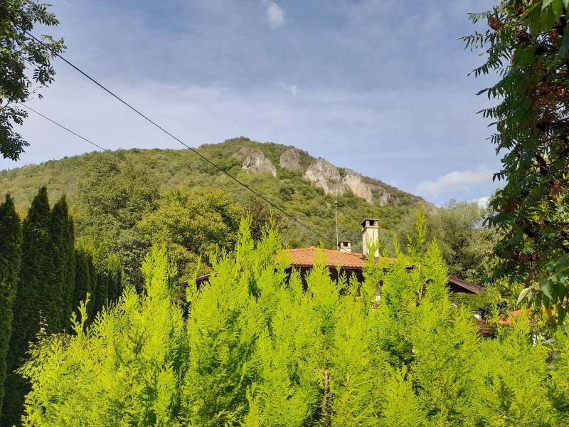 Προς πώληση  σπίτι περιοχή Lovech , Ρηβαρητσα , 70 τ.μ | 99291713 - εικόνα [2]