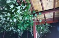 Продава КЪЩА, с. Джурово, област София област, снимка 5