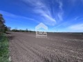 Продава ПАРЦЕЛ, град Добрич, Балик • 507000 € / 991605.81 лв. • 28136632 5