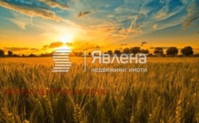 ������� ������ | Imot.bg � ����� ������ 3