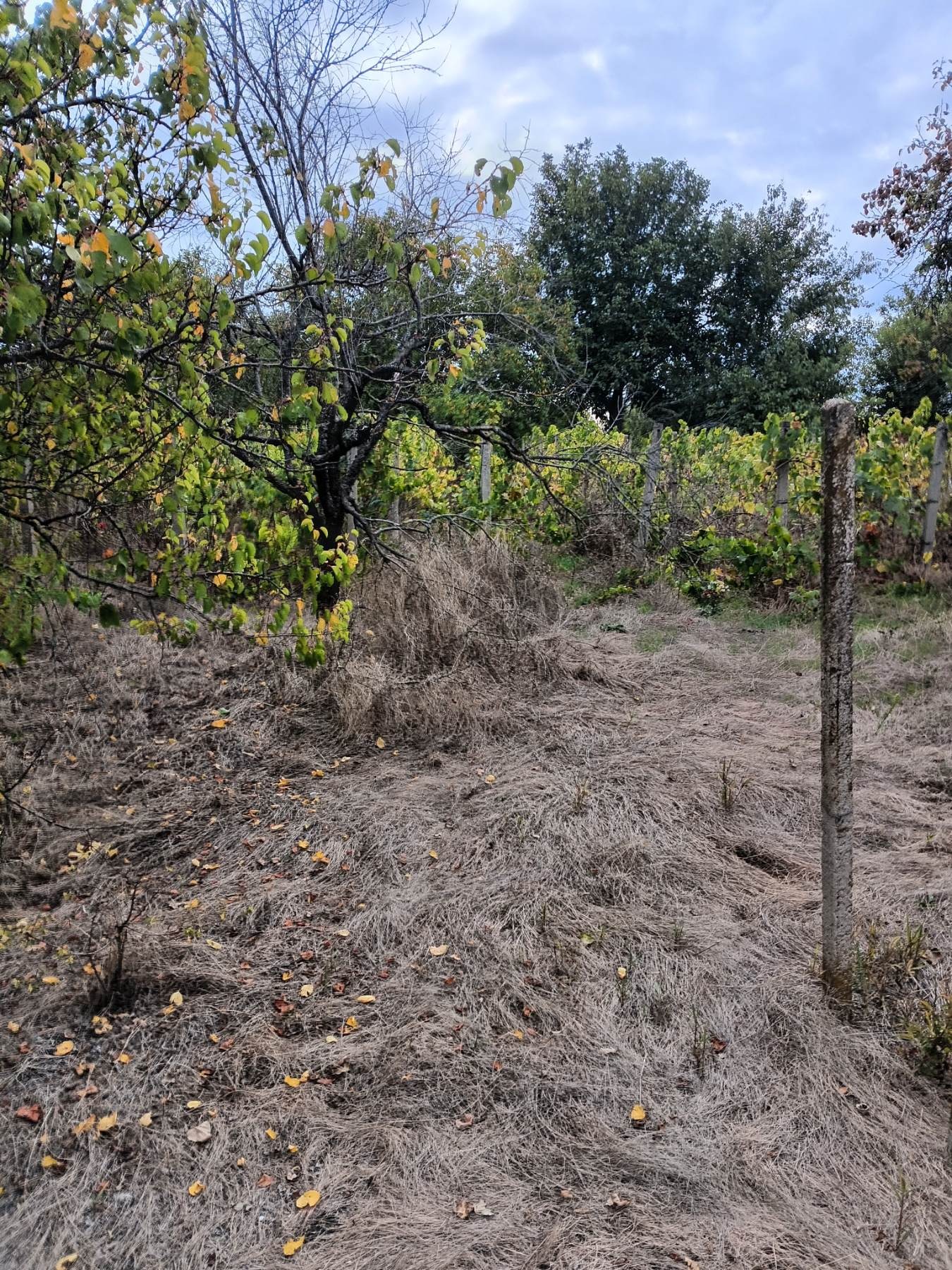 ������� ������ | Imot.bg � ����������� 4