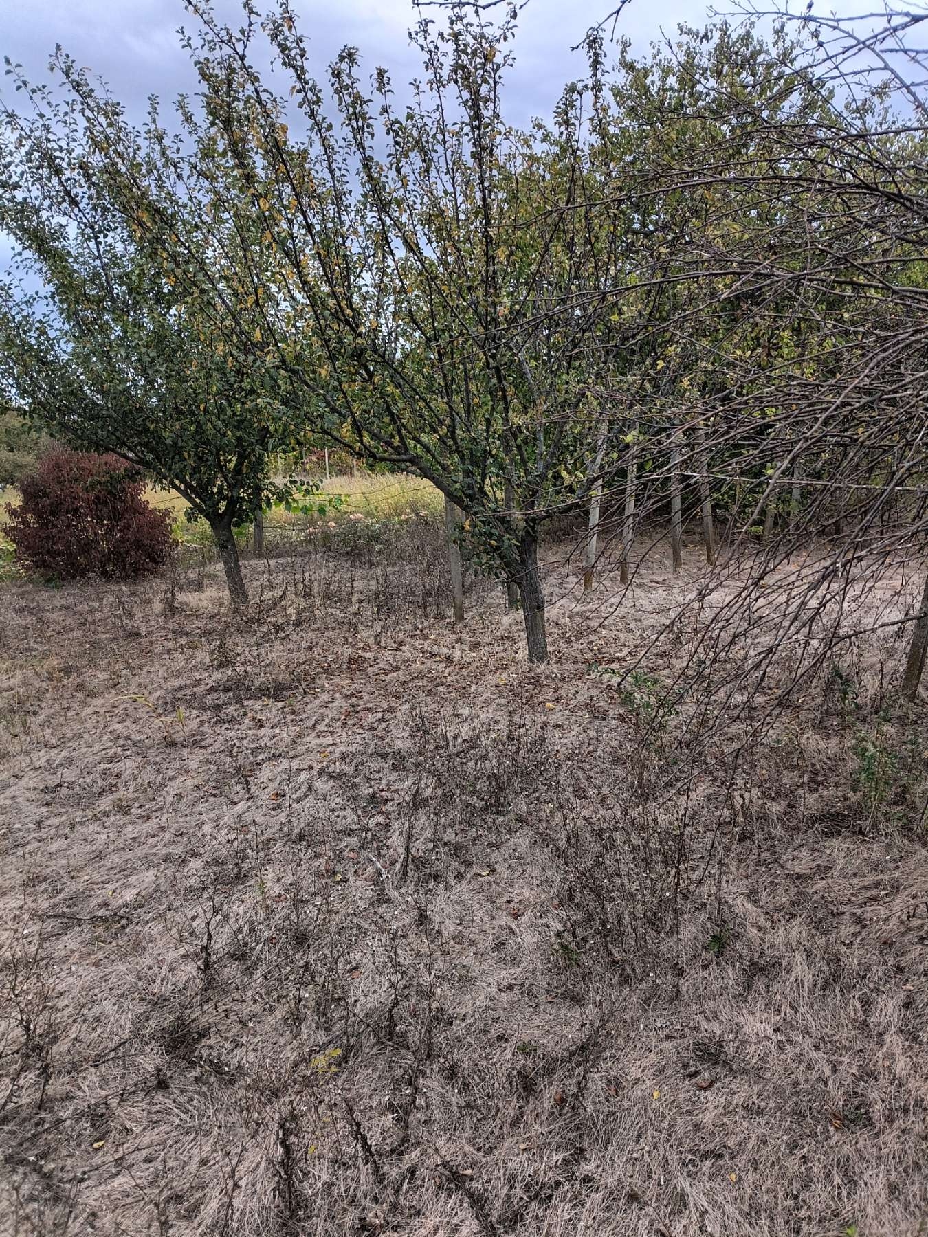 ������� ������ | Imot.bg � ����������� 3