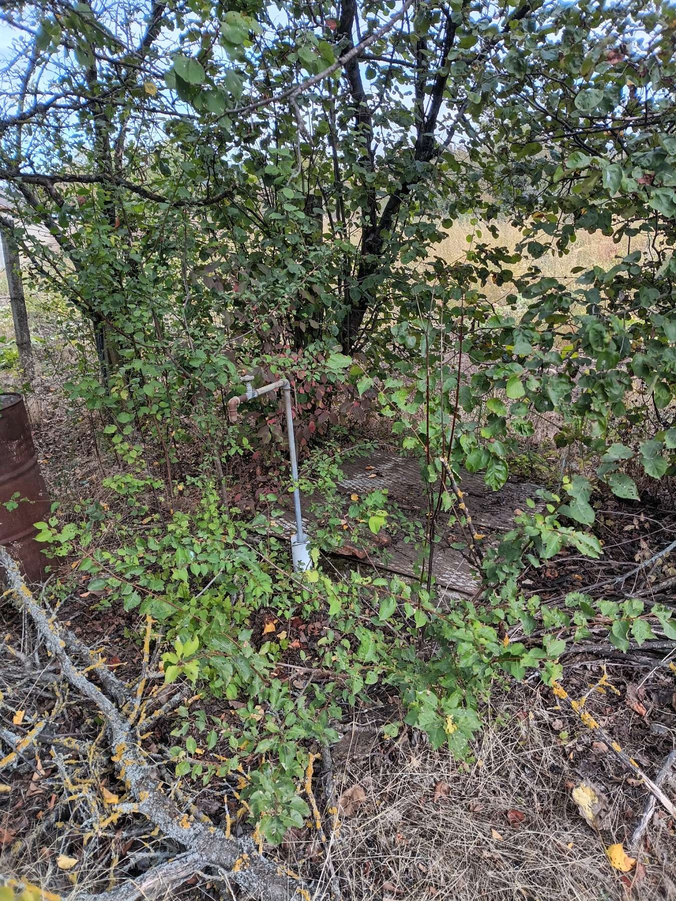 ������� ������ | Imot.bg � ����������� 5