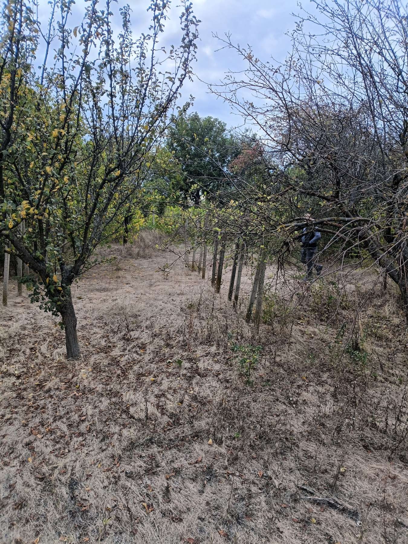 ������� ������ | Imot.bg � ����������� 6