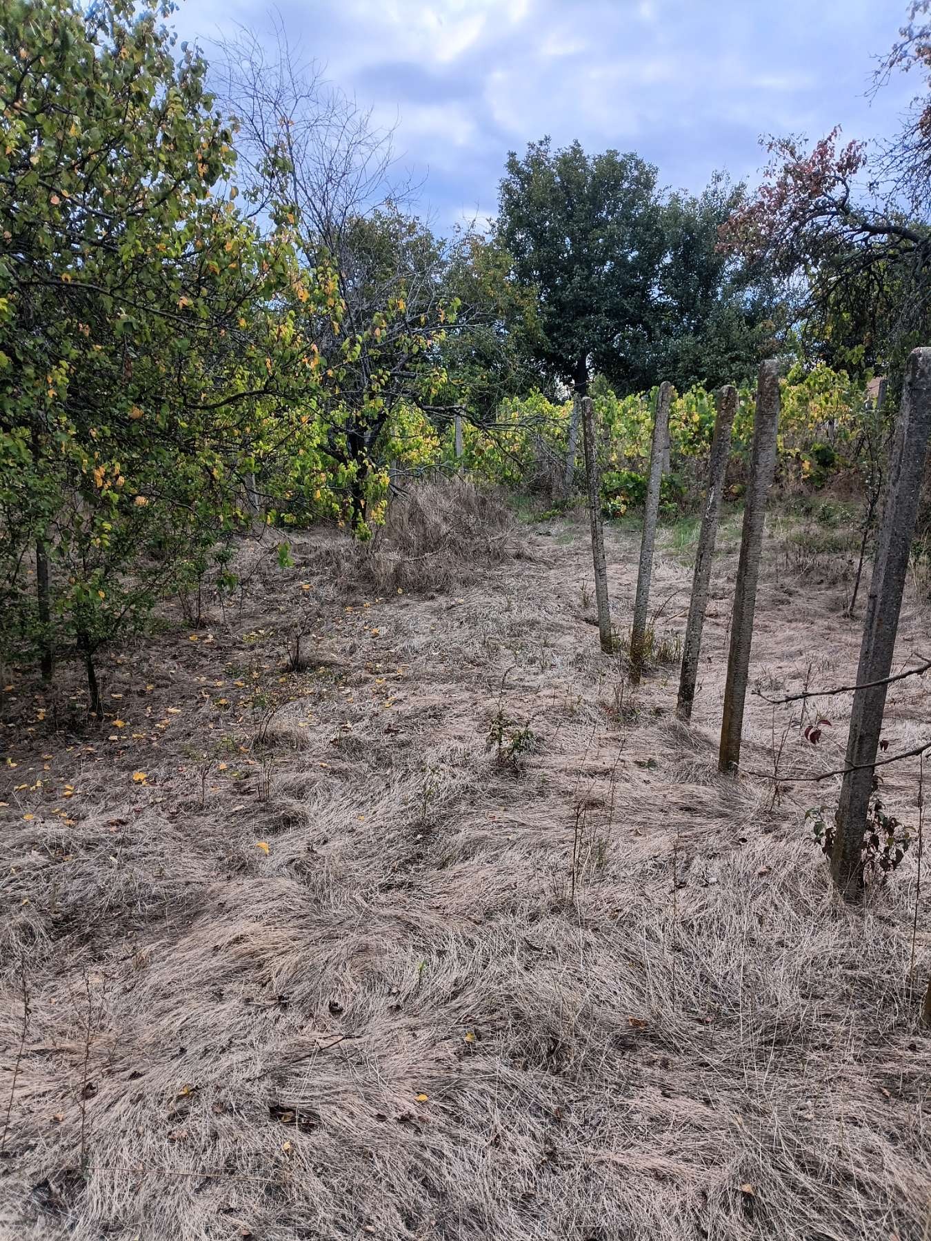 ������� ������ | Imot.bg � ����������� 2