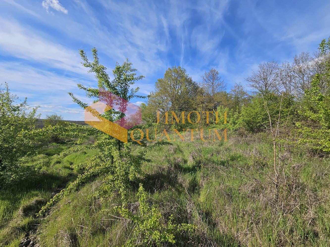 ������� ������ | Imot.bg � ����������� 8