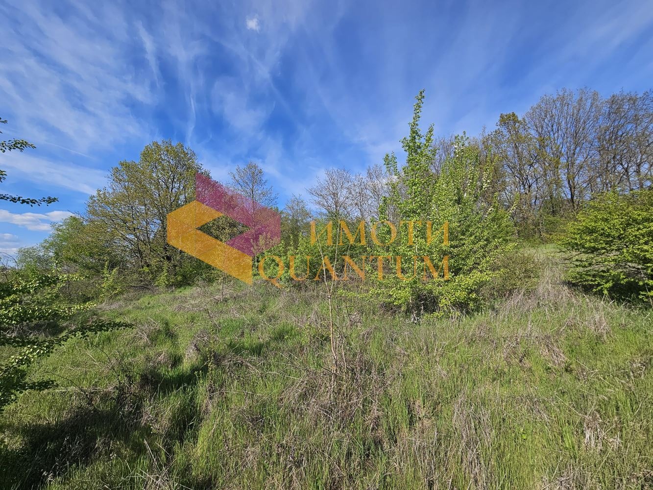 ������� ������ | Imot.bg � ����������� 7