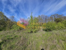 ������� ������ | Imot.bg � ����� ������ 12