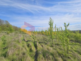 ������� ������ | Imot.bg � ����� ������ 11