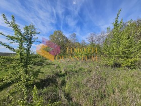 ������� ������ | Imot.bg � ����� ������ 5