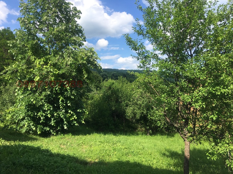 Til salg  Hus region Sofia , Kalugerovo , 120 kvm | 79385463 - billede [16]