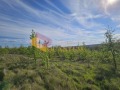 Продава ПАРЦЕЛ, с. Приселци, област Варна, снимка 2