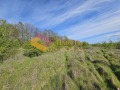 Продава ПАРЦЕЛ, с. Приселци, област Варна, снимка 4