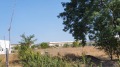 Продава ПАРЦЕЛ, област Бургас, гр. Камено • 50000 € • 81088362 — Holmes.bg