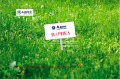 Продава ПАРЦЕЛ, област Велико Търново, с. Момин сбор • 60000 € / 117349.80 лв. • 77578291 1