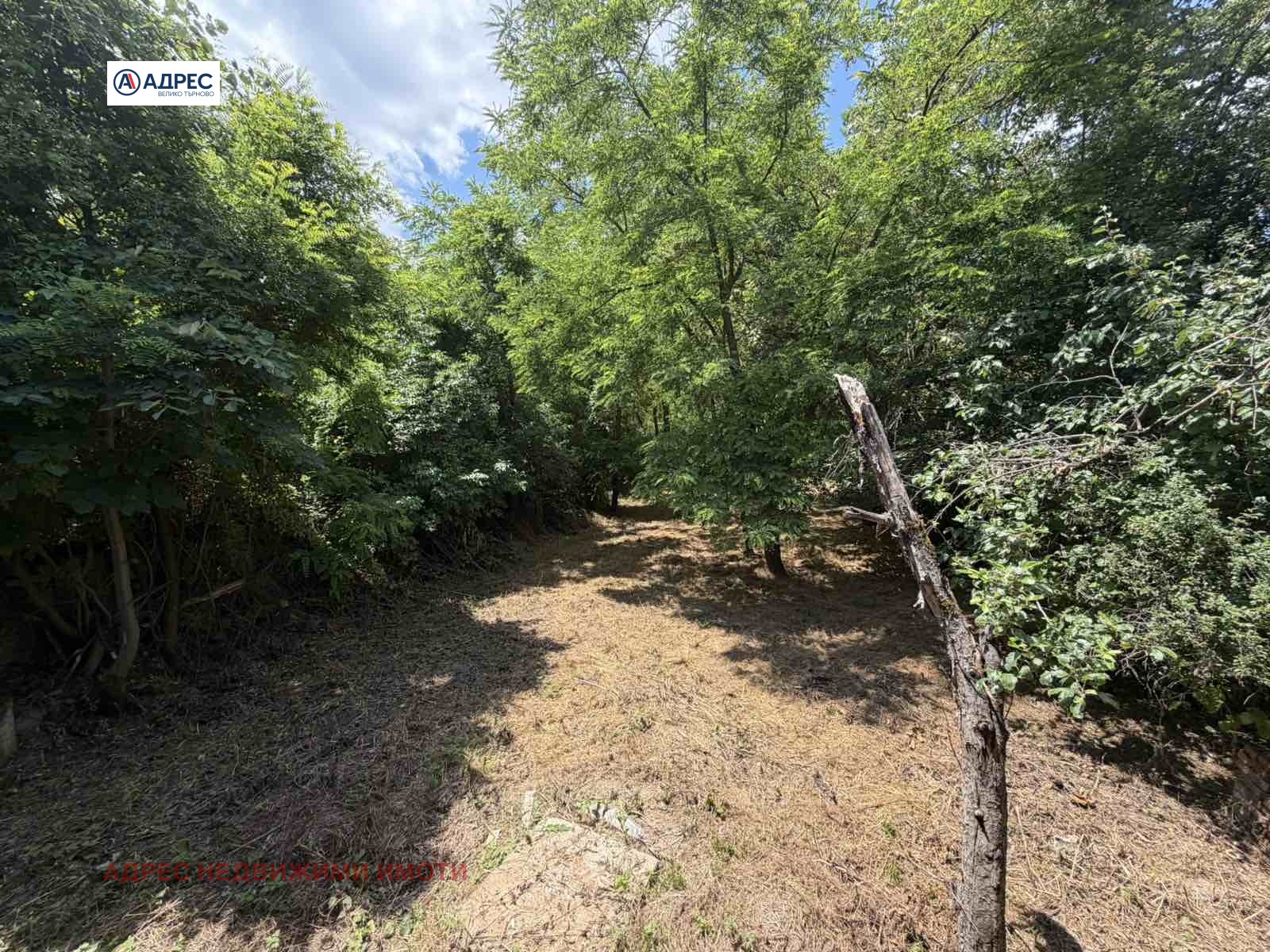 Продава КЪЩА, с. Соколово, област Габрово, снимка 11 - Къщи - 55008680