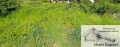 Продава ПАРЦЕЛ, гр. Асеновград, област Пловдив, снимка 2
