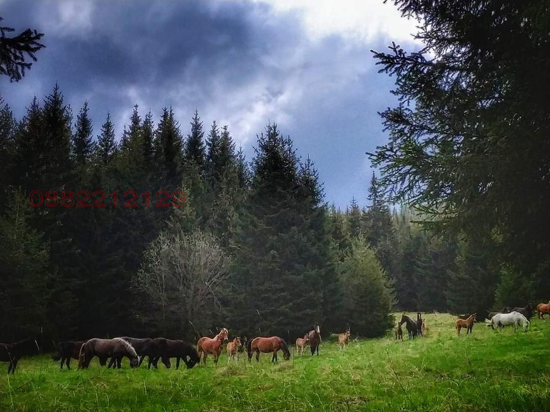 ������� ������ | Imot.bg � ����������� 5