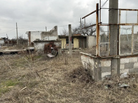 Juoni Kalojanovo, Plovdivin alue