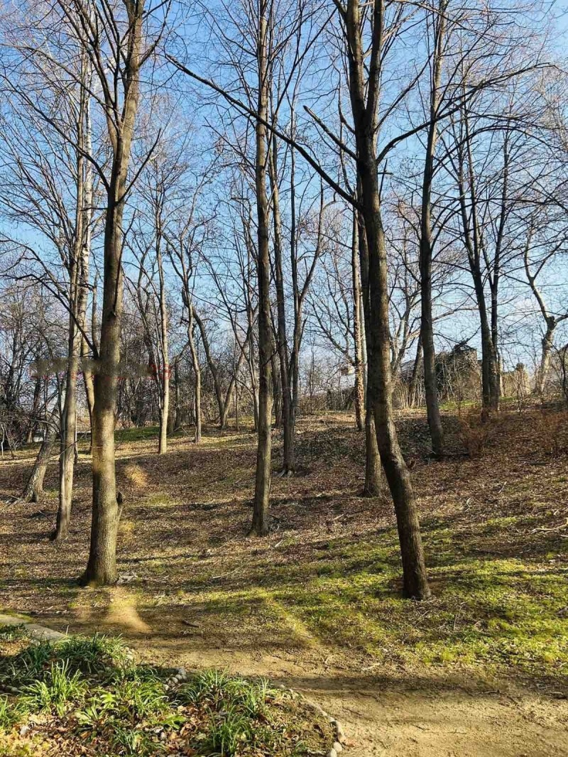 Satılık  2 yatak odası Sofia , Geo Milev , 64 metrekare | 22125735 - görüntü [12]