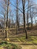 Продава 3-СТАЕН, град София, Гео Милев • 229000 € • 97568607 — Holmes.bg