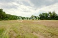 Продава  Парцел област Варна , с. Равна гора , 6000 кв.м | 50739334 - изображение [7]