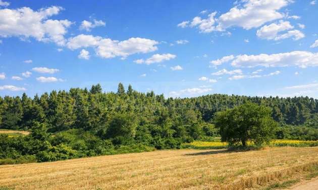 ������� ������ | Imot.bg � ����������� 10