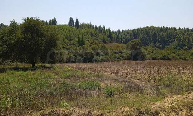������� ������ | Imot.bg � ����������� 17