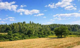 ������� ������ | Imot.bg � ����� ������ 10