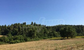 ������� ������ | Imot.bg � ����� ������ 11