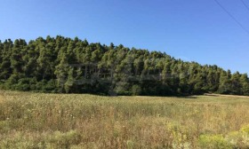������� ������ | Imot.bg � ����� ������ 12