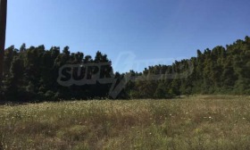 ������� ������ | Imot.bg � ����� ������ 6