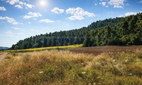 ������� ������ | Imot.bg � ����� ������ 2