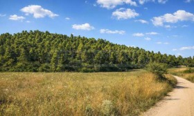 ������� ������ | Imot.bg � ����� ������ 6