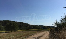 ������� ������ | Imot.bg � ����� ������ 10