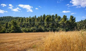 ������� ������ | Imot.bg � ����� ������ 13