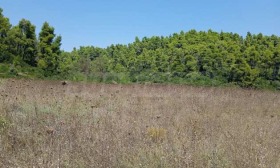 ������� ������ | Imot.bg � ����� ������ 15