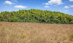 ������� ������ | Imot.bg � ����� ������ 17