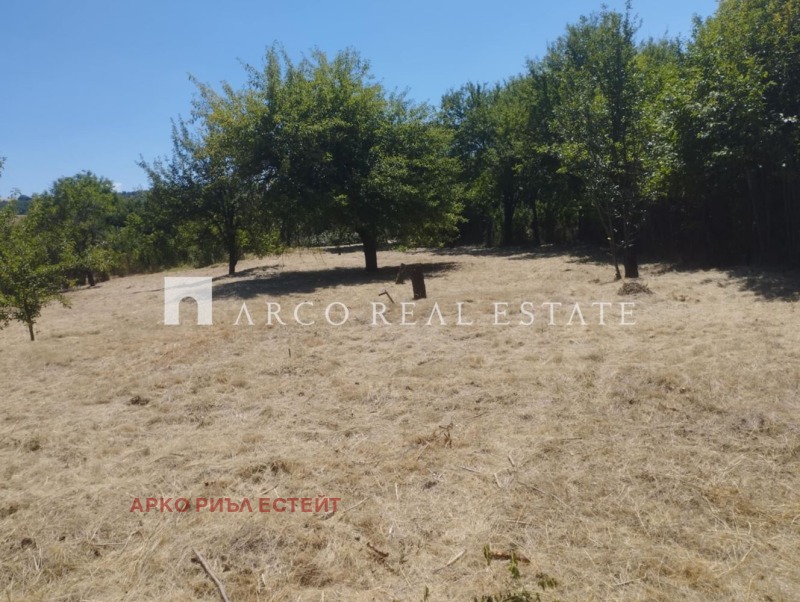 Na prodej  Spiknutí oblast Sofia , Elin Pelin , 8816 m2 | 82799010