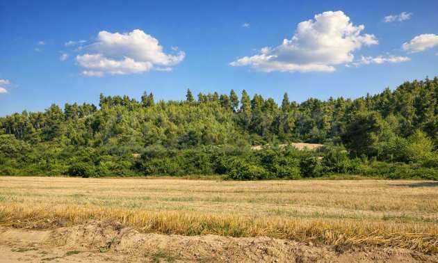 Продава ПАРЦЕЛ, Извън страната, област Извън страната, снимка 4 - Парцели - 54846564