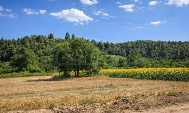 Продава ПАРЦЕЛ, Извън страната, област Извън страната, снимка 3 - Парцели - 54846564
